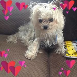 Meet your Posher, Tena